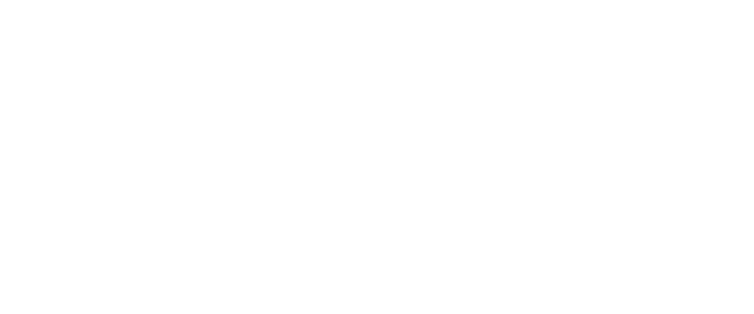 VR logo white RGB - original (1084758)