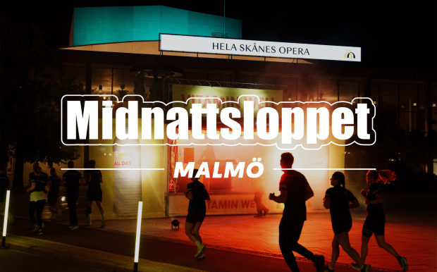 MAL_loggaobildny_2026