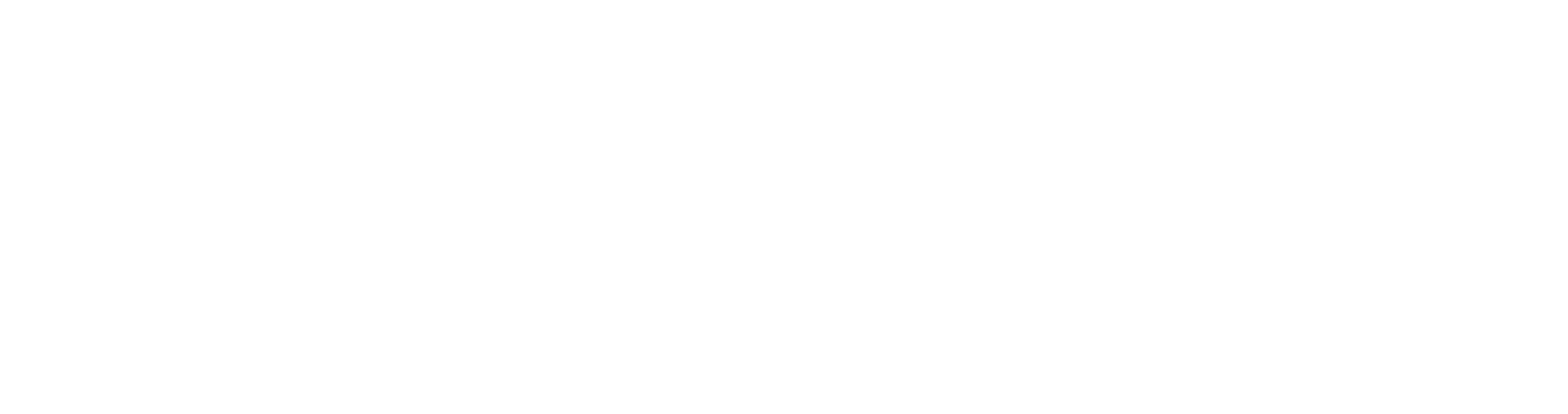 Midnattsloppet Göteborg Logga vit
